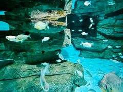 -石家庄市动物园