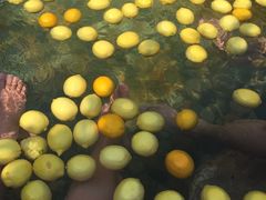 -天目湖涵田半山温泉