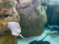 -珠海长隆海洋王国