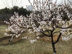 -滨河世纪广场公园