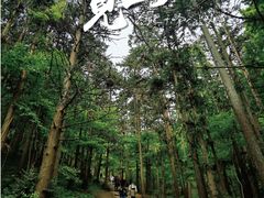 -冶父山国家森林公园