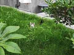 -WILDS 野有食(碧坞店)
