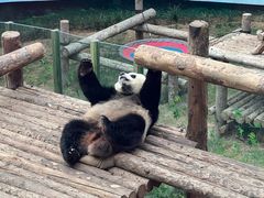 -大连森林动物园