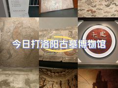 -洛阳古墓博物馆