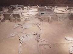 -洛阳周王城天子驾六博物馆