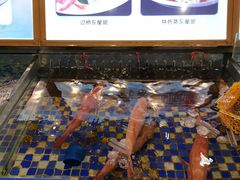 -雅盛品931海鲜酒家