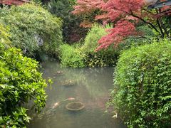-中国茶叶博物馆(双峰馆区)