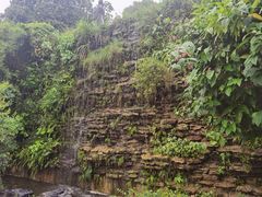 -广州神农草堂中医药博物馆