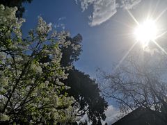 -保定直隶总督署博物馆