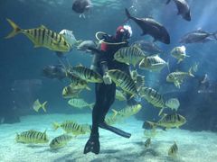-常州海昌海洋探索馆