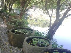 -老木棉·匠园