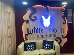 -白兔子密室(长寿路店)