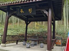 -东明山森林公园