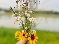 -春花秋色城市公园