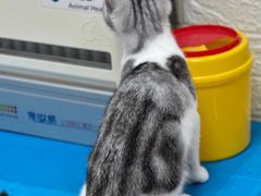 -美联众合动物医院·24h京西诊疗中心