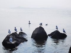 -深圳湾公园(南山区)