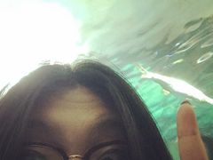 -瑞普利水族馆