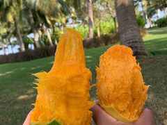 -鸿港海鲜批发市场