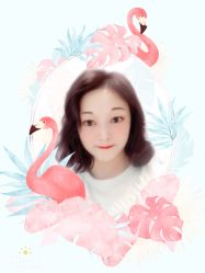 中发-Z.F私人订制