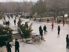 -古城公园