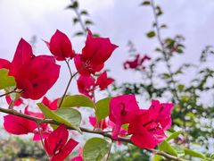 -伴山茶苑·围炉煮茶