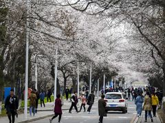 -吉林大学(南岭校区)