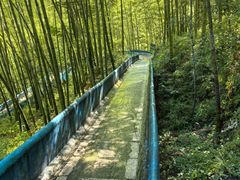 -磐安十八涡景区