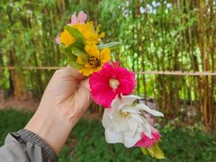 -黄龙溪古镇