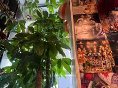 -Mesa Madre梅萨妈妈·Bintana(国贸店)