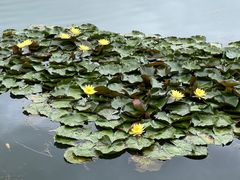 -湘湖逍遥庄园·水漾中餐厅