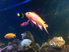 -乌鲁木齐海洋馆
