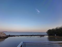 -上海吴淞炮台湾国家湿地公园
