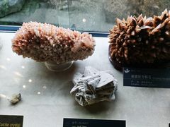 -中国地质博物馆