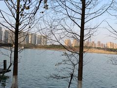 -白塘生态植物园