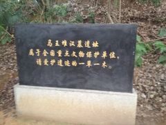 -马王堆汉墓遗址