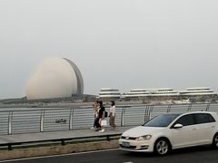 -野狸岛