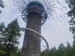 -黄海国家森林公园