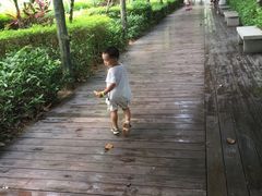 -大屏嶂森林公园