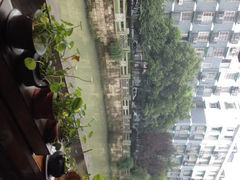 iphone_upload_pic-樟树底(胜利河美食街店)