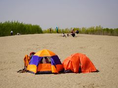 -东郊湿地公园
