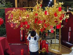 -陶然居·重庆菜(生态园店)