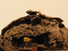 小熊面包-稻田秋日式面包