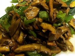 -云上千禾(水上店)
