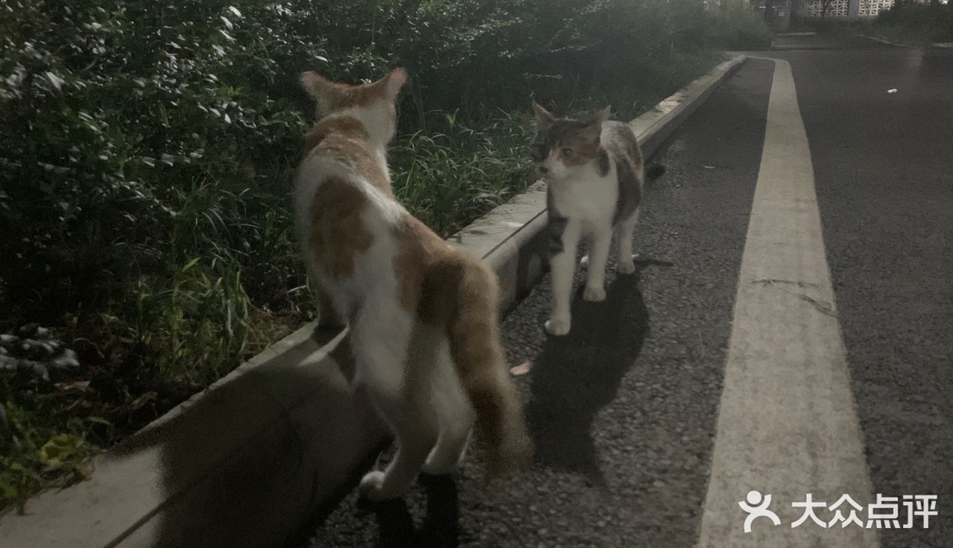 我院天团（26）