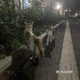 我院天团（26）