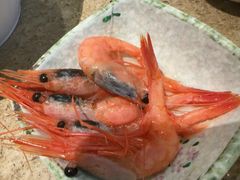 -初色海鲜自助(万丰路店)