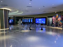 -百丽宫影城(CGS激光苏宁广场店)
