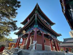 -天津大悲禅院