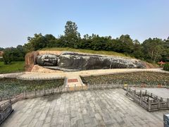 -三水森林公园