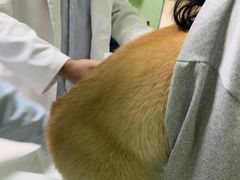 -圣宠动物医院·犬猫专科·影像中心·外科中心